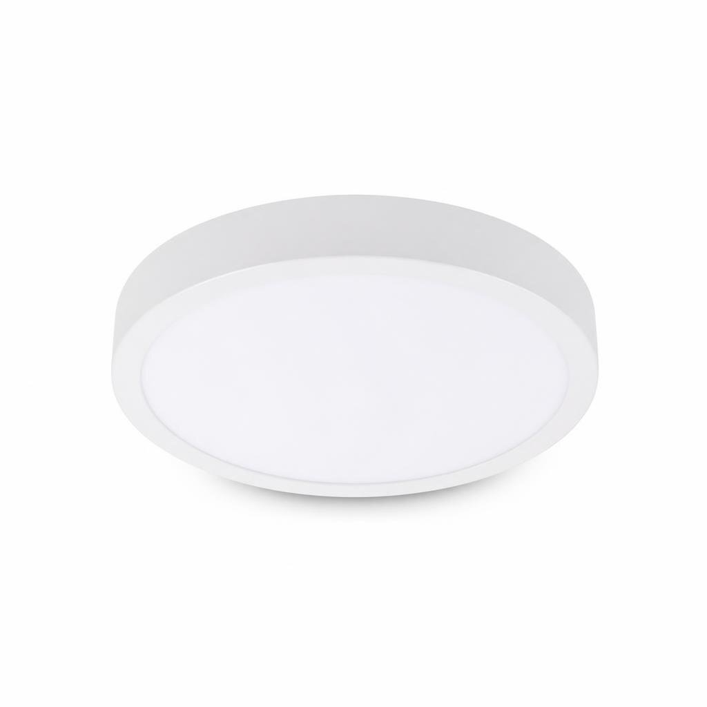 NIPPON II FLRS220 36W D/L LED FRAMELESS SURFACE DOWN LIGHT - ROUND