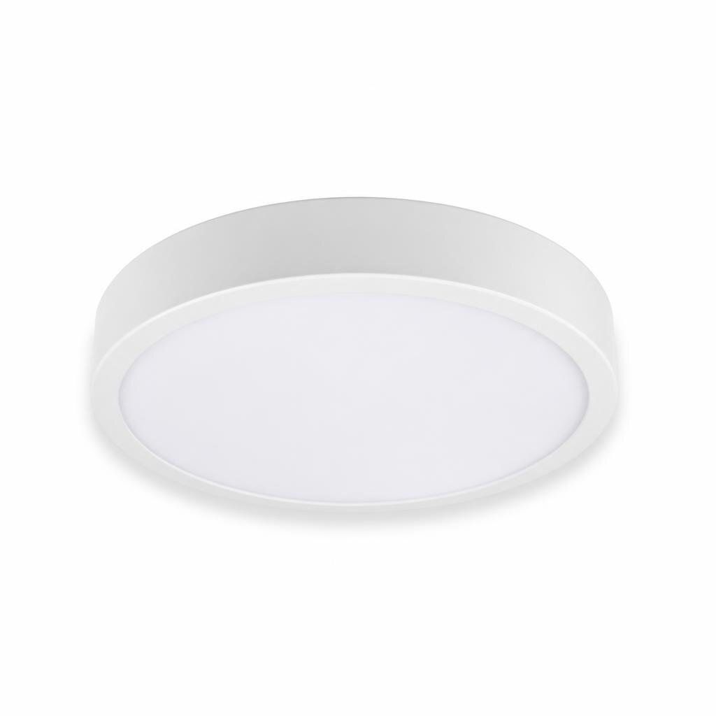 NANAS 12W D/L LED SURFACE CEILING LAMP - ROUND METAL