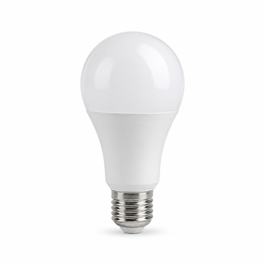 ECOBRIGHT A60 E27 12W LED BULB