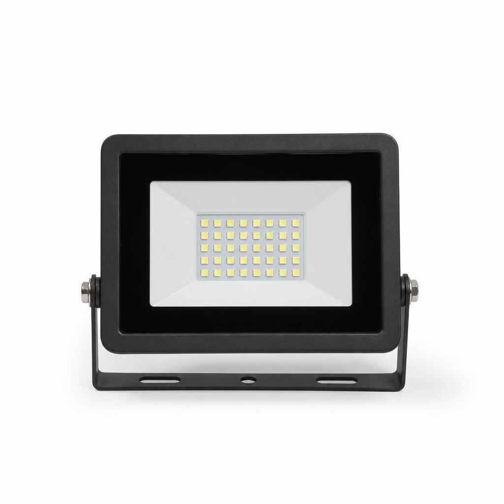 COSGO 20W D/L LED FLOODLIGHT (6500K)