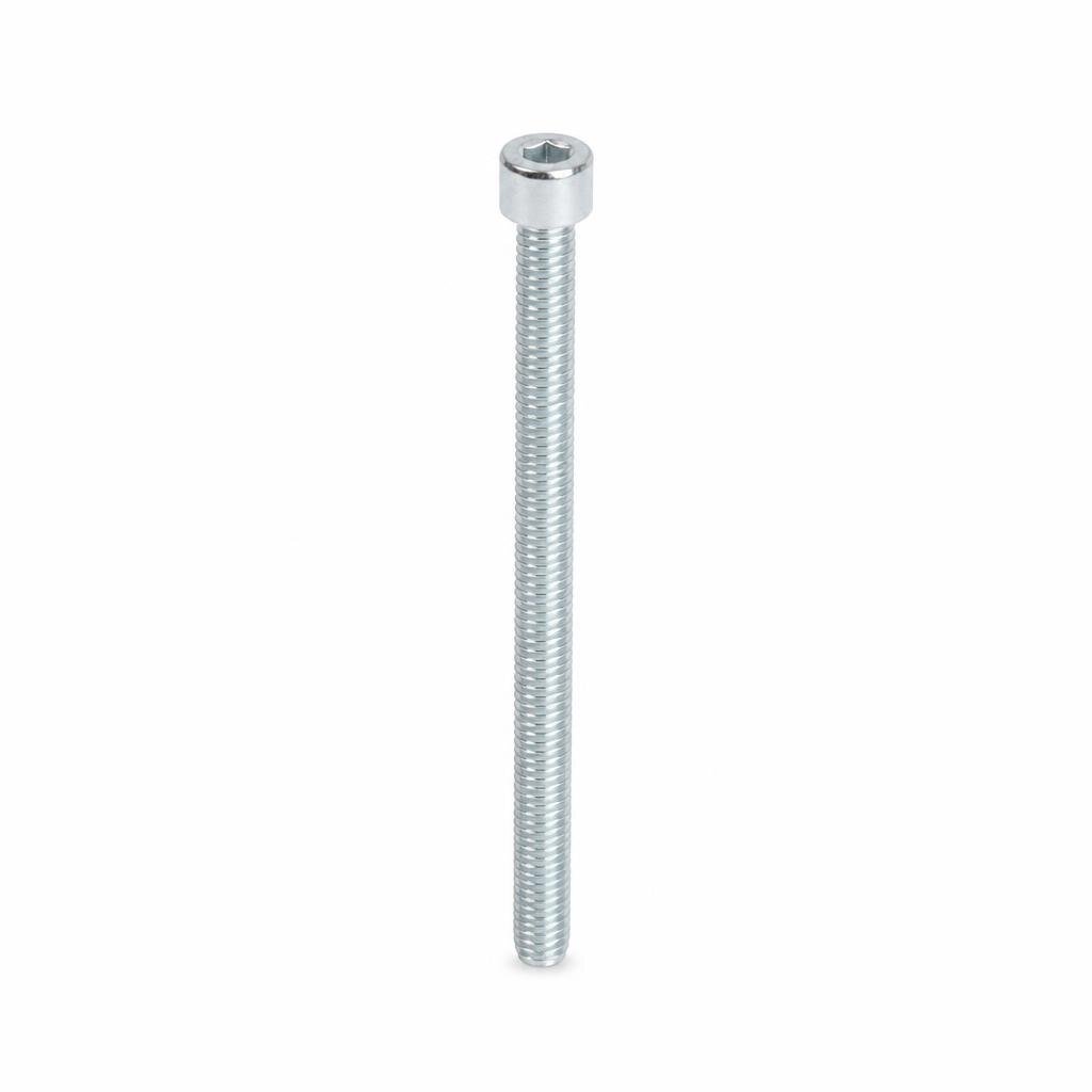 M6 X 100MM CAP SCREW