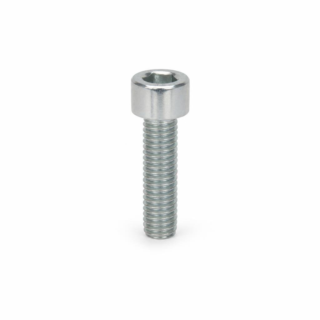 M10 X 25MM CAP SCREW