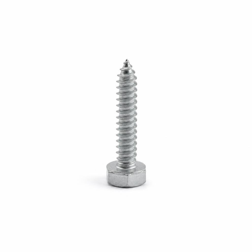 1/4" X 1" PAGAR SCREW
