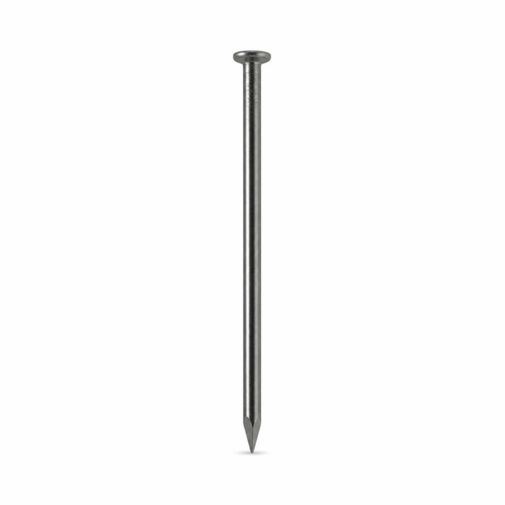4.0" COMMON WIRE NAIL