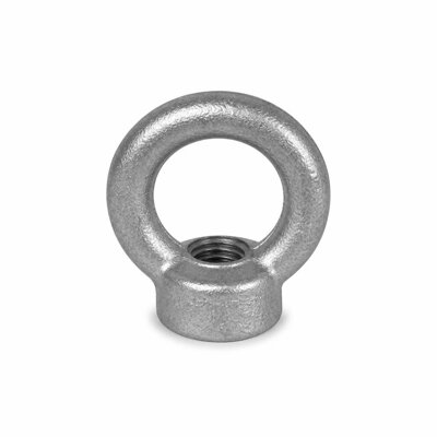 NIETZ M20 EYE NUT DIN582 C15 (FORGED STEEL) - 160305