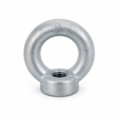 NIETZ M24 EYE NUT DIN582 C15 (FORGED STEEL) - 160306