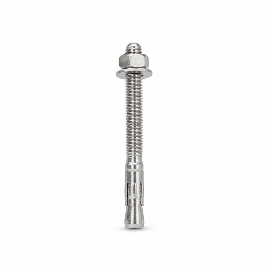 M10 X 50 S/STEEL WALL PLUG