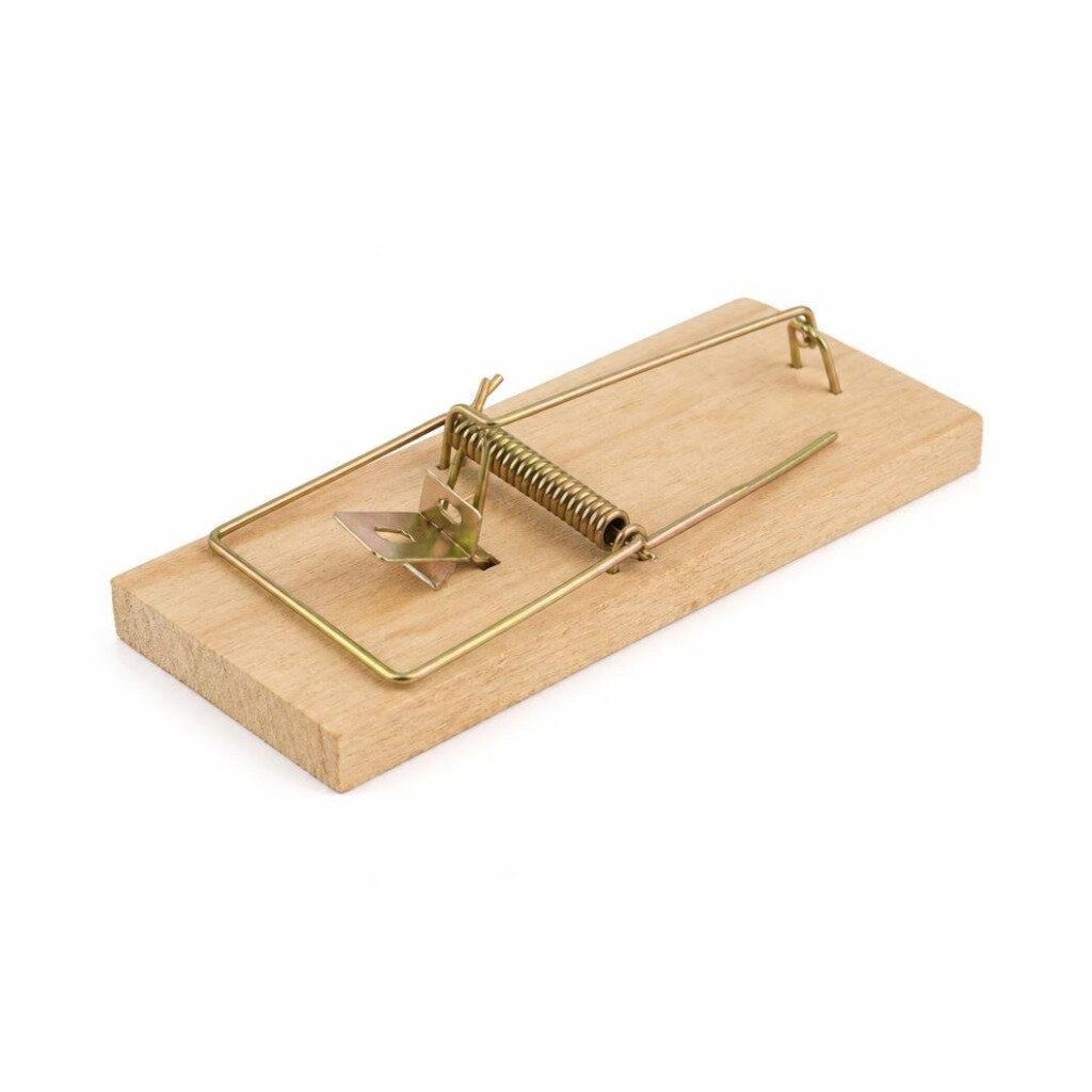 LARGE MOUSE TRAP 1829