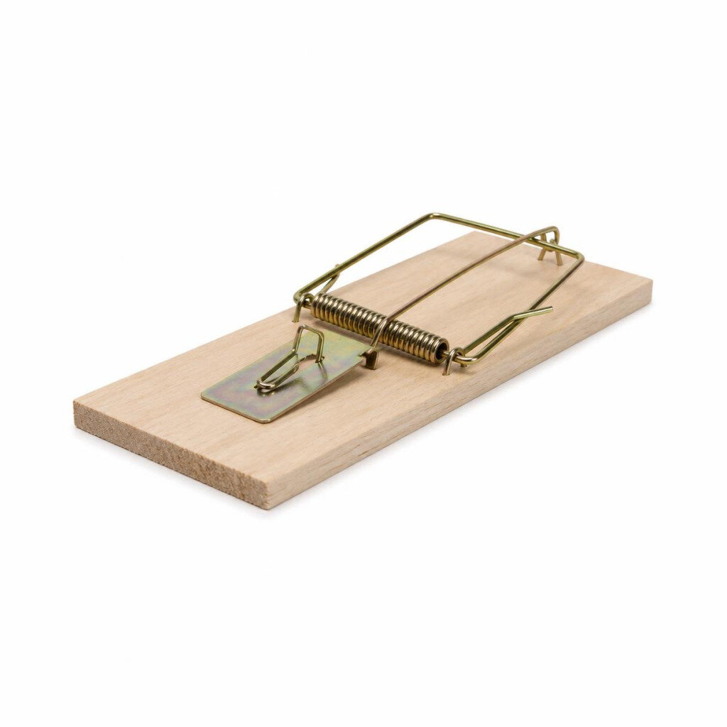 2136 LARGE MOUSE TRAP - XL
