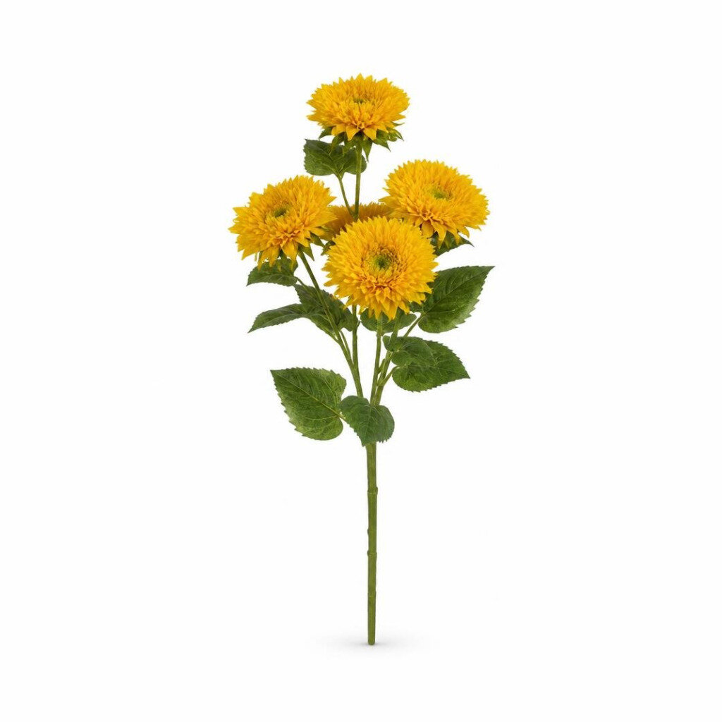 GANDENER FLOWER SEED SUNFLOWER SUNGOLD TEDDY BEAR
