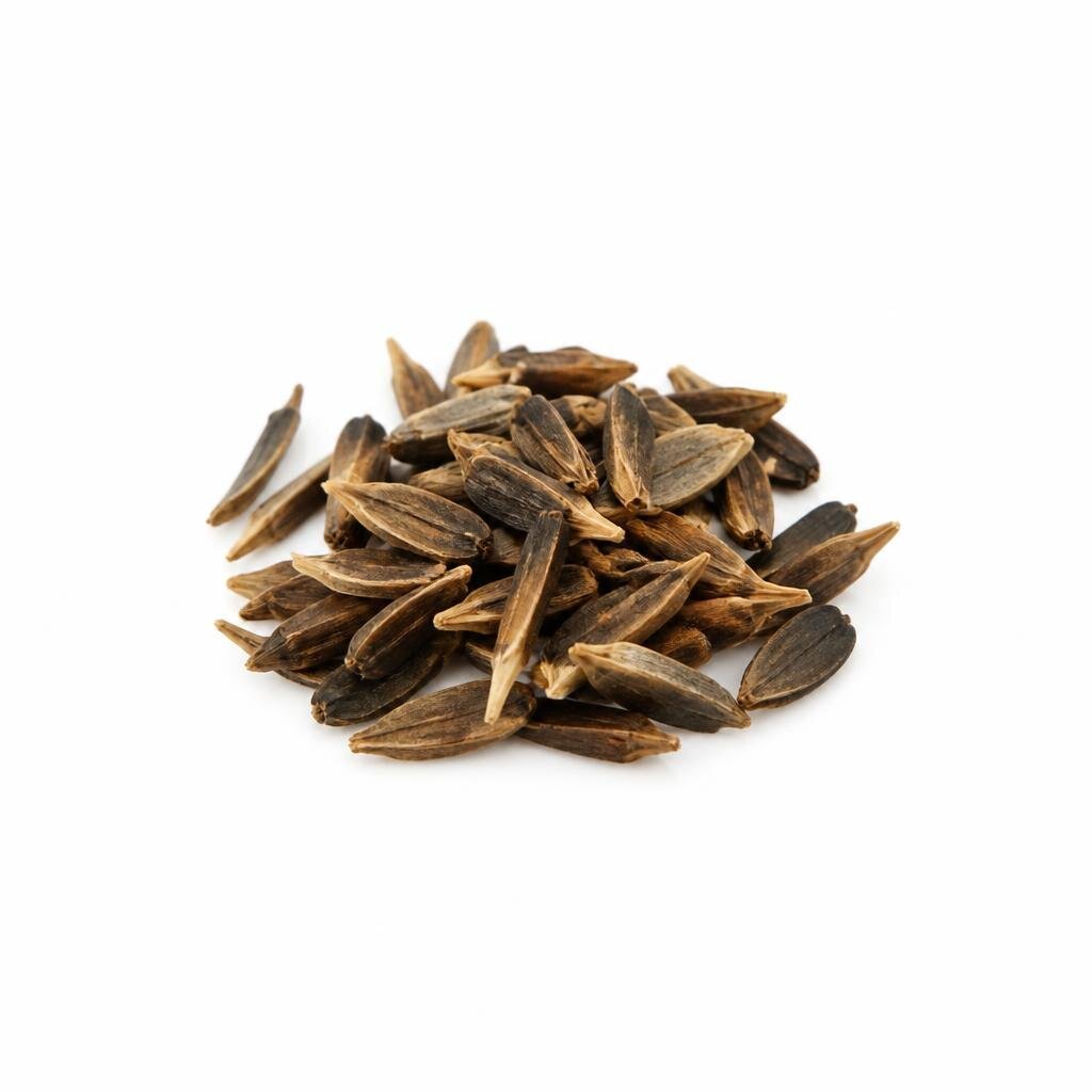 GANDENER FLOWER SEED BUNGA DAHLIA EARLY BIRD