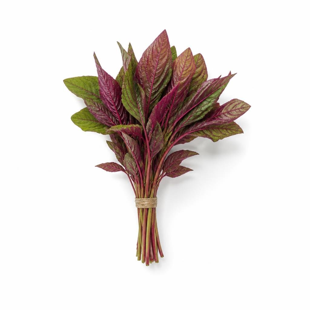 GRABBIT POINTED LEAF AMARANTH 16GRAM