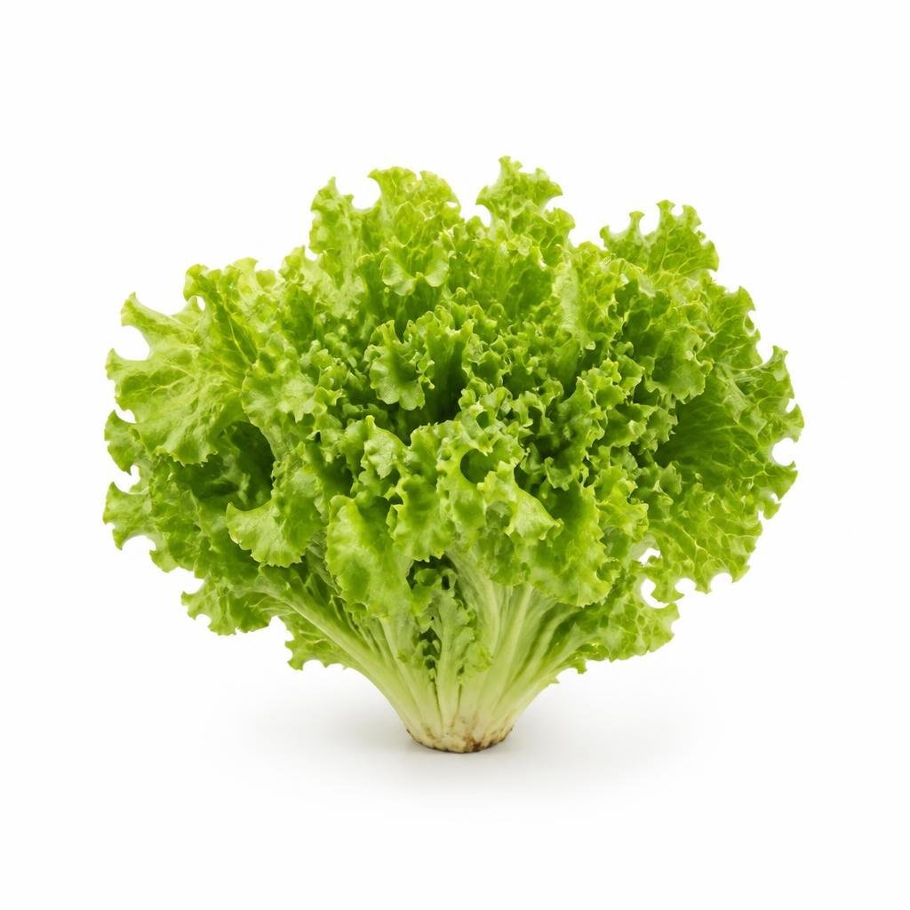 GRABBIT GALAXY LETTUCE 2250SEEDS