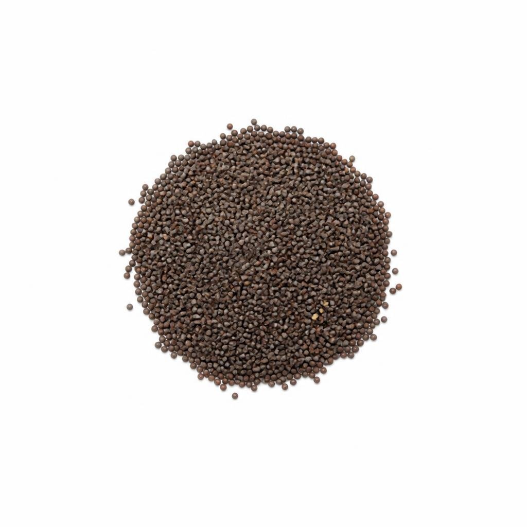 GRABBIT BROCCOLI 300SEEDS+-