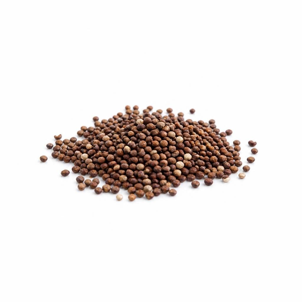 GANDENER FLOWER SEED BUNGA GOMPHPRENA GNOME