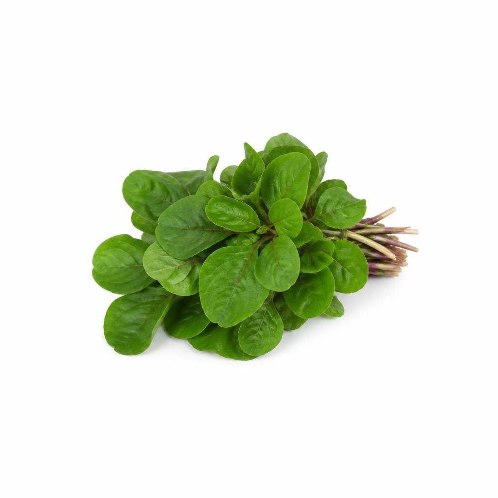 GRABBIT ROUND LEAF AMARANTH 16GRAM