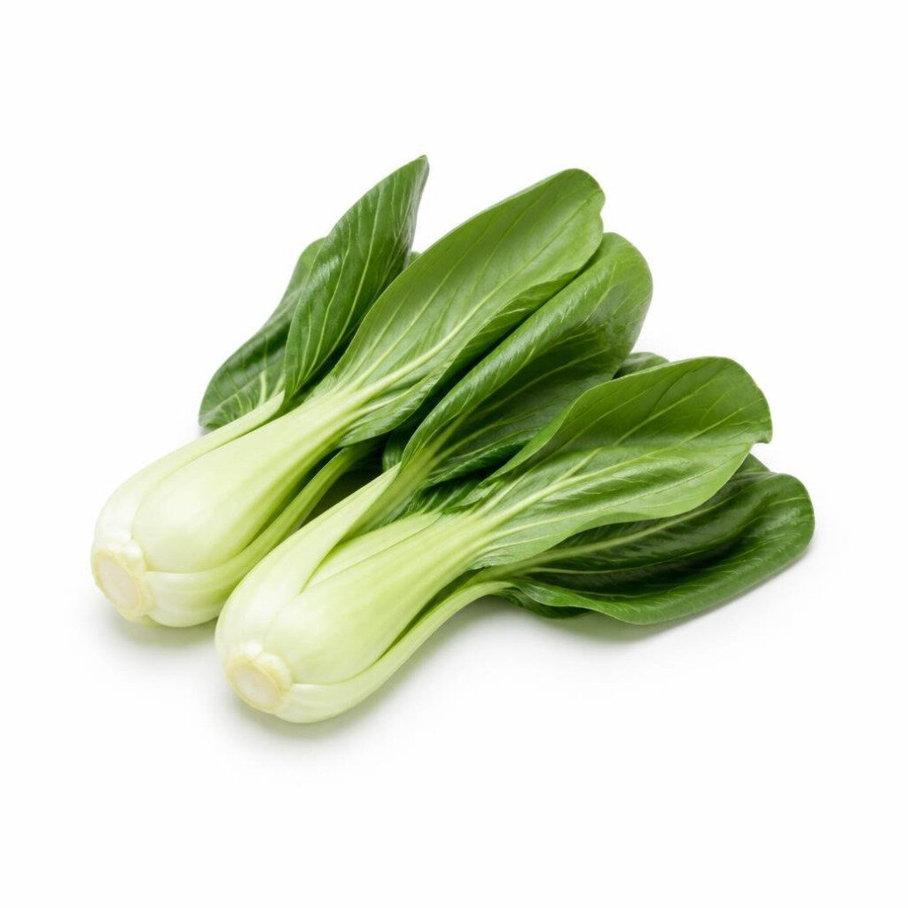 GRABBIT 1600SEEDS+- FAN PAK CHOY