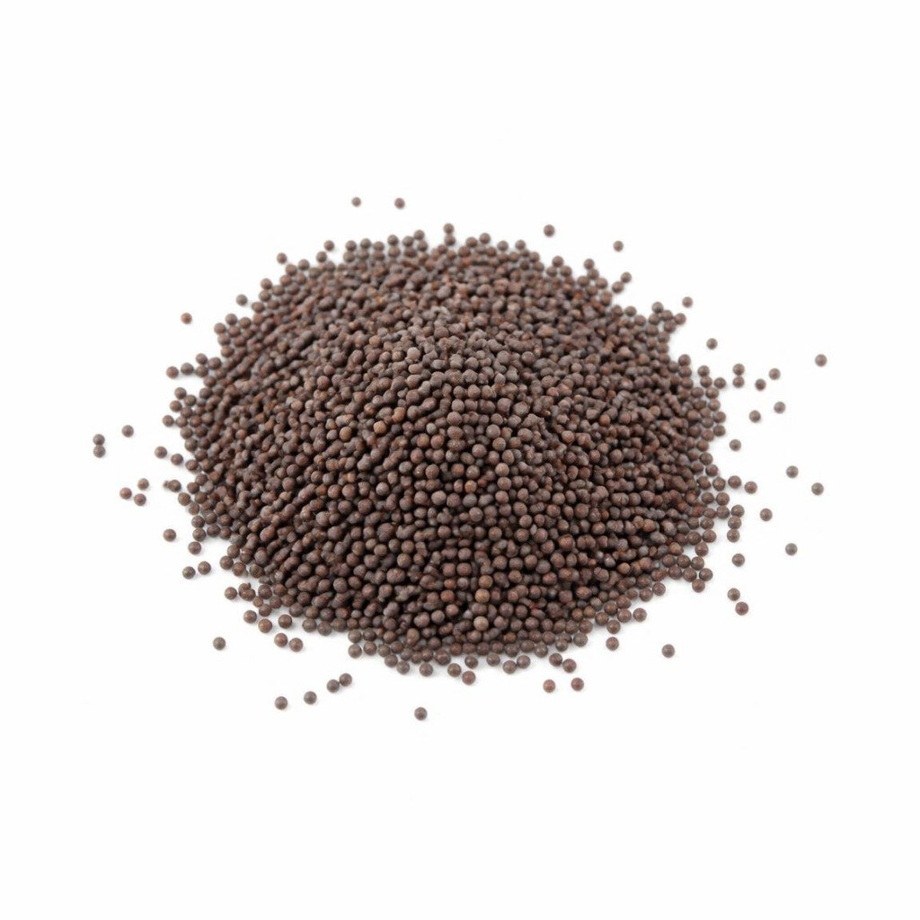 GRABBIT TATSOI - F1 500SEEDS