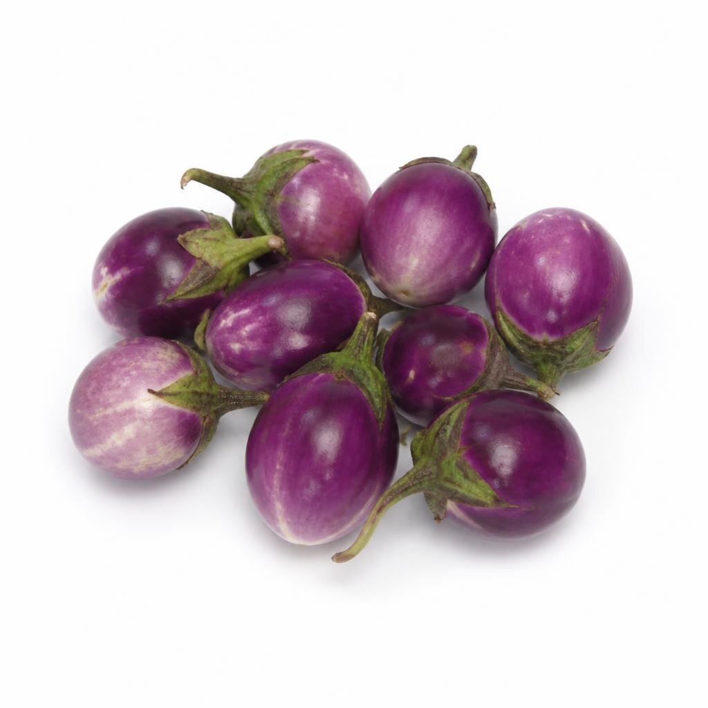 GRABBIT SHORT EGGPLANT - F1 50SEEDS