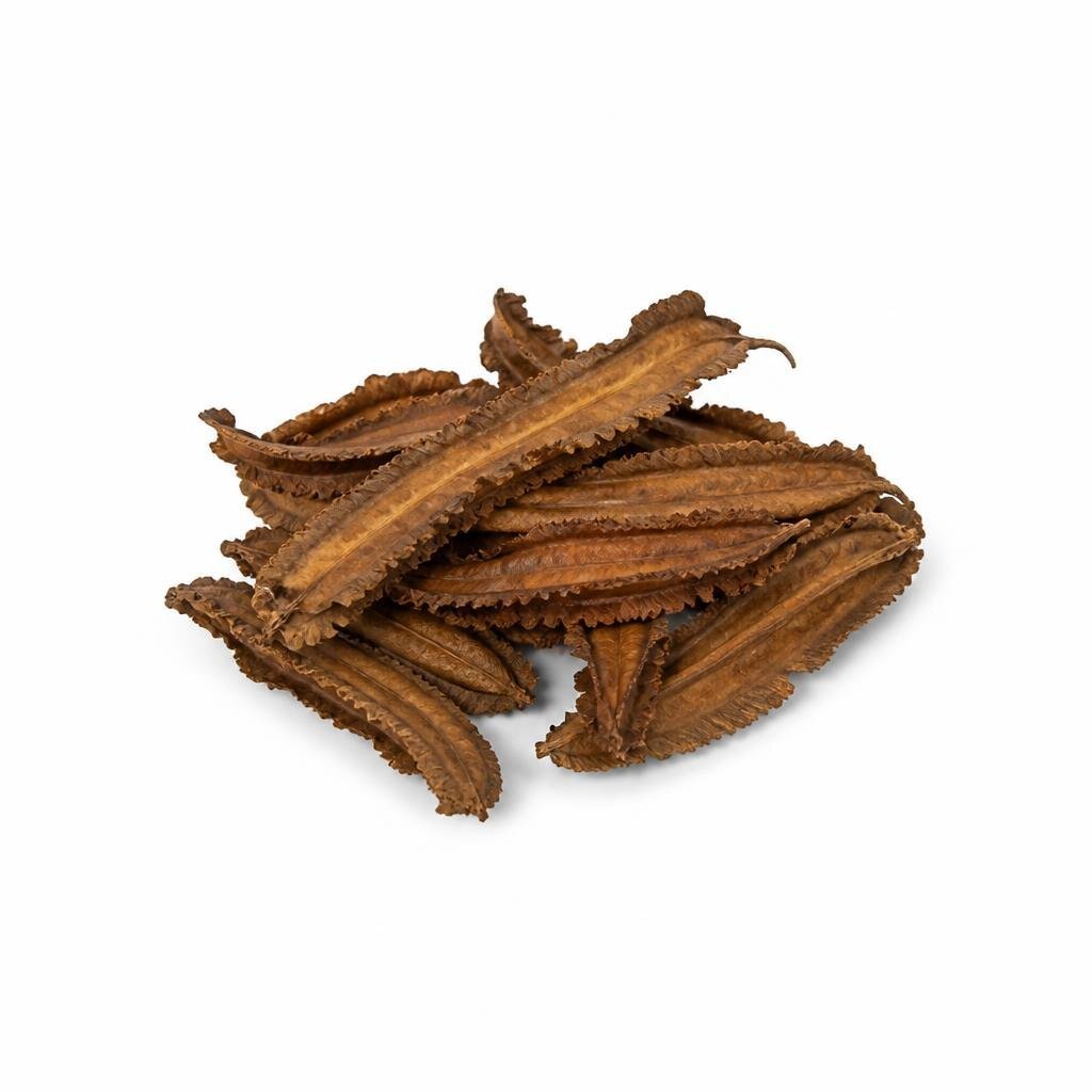 GRABBIT WINGED BEAN 4GRAM