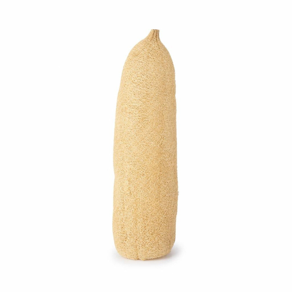 GRABBIT 5SEEDS+- LUFFA
