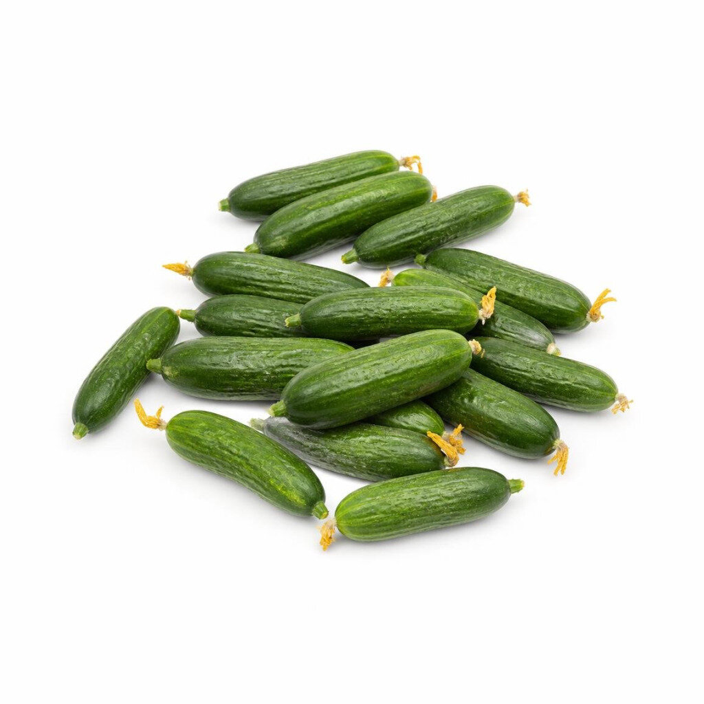 GRABBIT MINI CUCUMBER - F1 20SEEDS