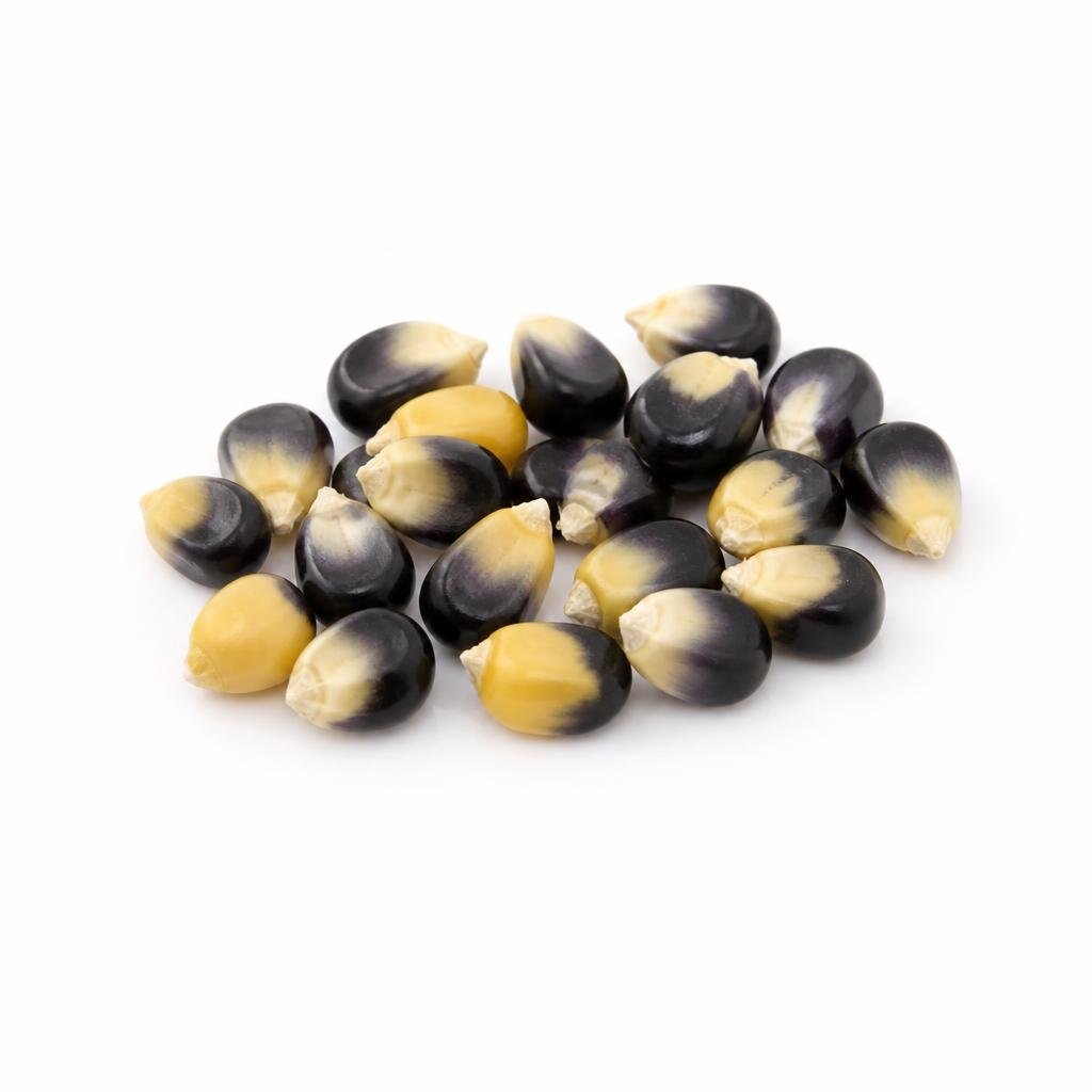 GRABBIT BICOLOUR CORN 18SEEDS
