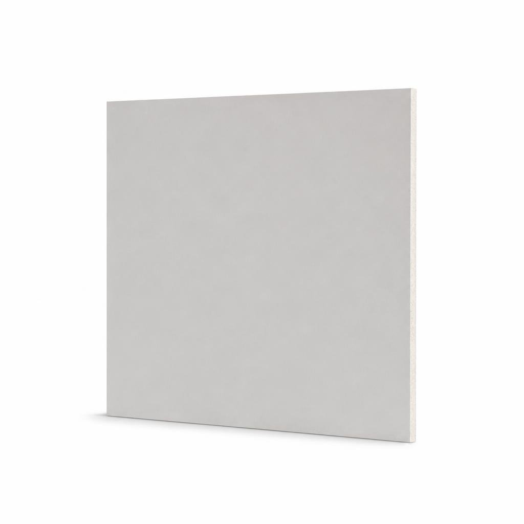 AGP TE 9.5MM X 4FT X6FT GYPSUM BOARD