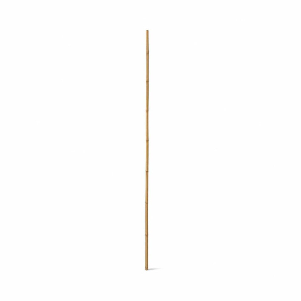 9FT BAMBOO STICK