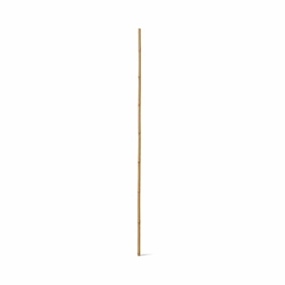 9FT BAMBOO STICK