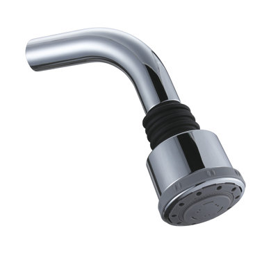 Felice Shower Rose