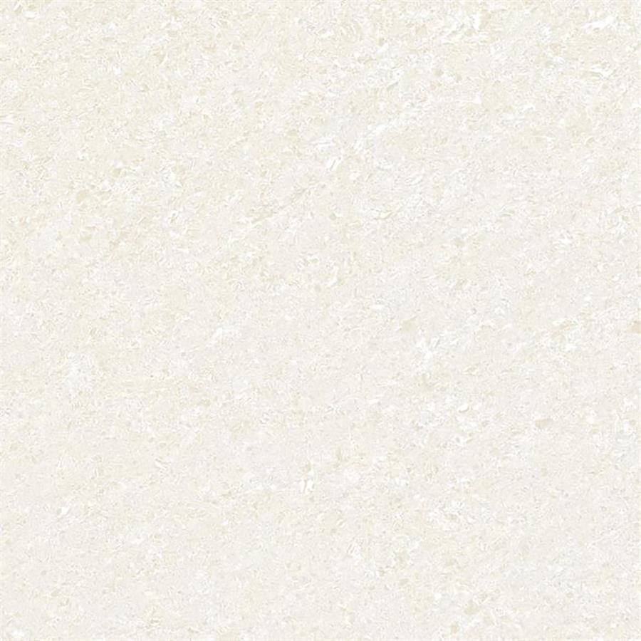 POLISHED PORCELAIN TILES - 800mm X 800mm - TC8811PGP