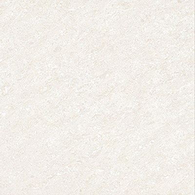 POLISHED PORCELAIN TILES - 800mm X 800mm - TC88011PGP