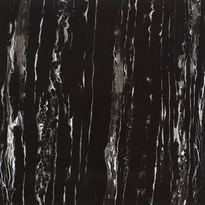 POLISHED PORCELAIN TILES - 800mm X 800mm - TC8706PGP