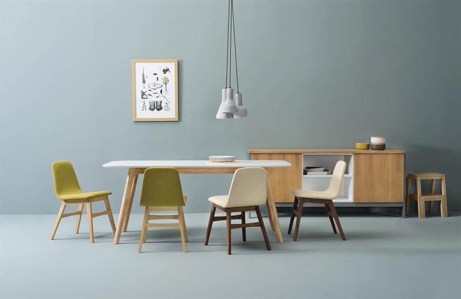 Arturo Avice Dining Chair (2 pieces)(Assorted Colour)