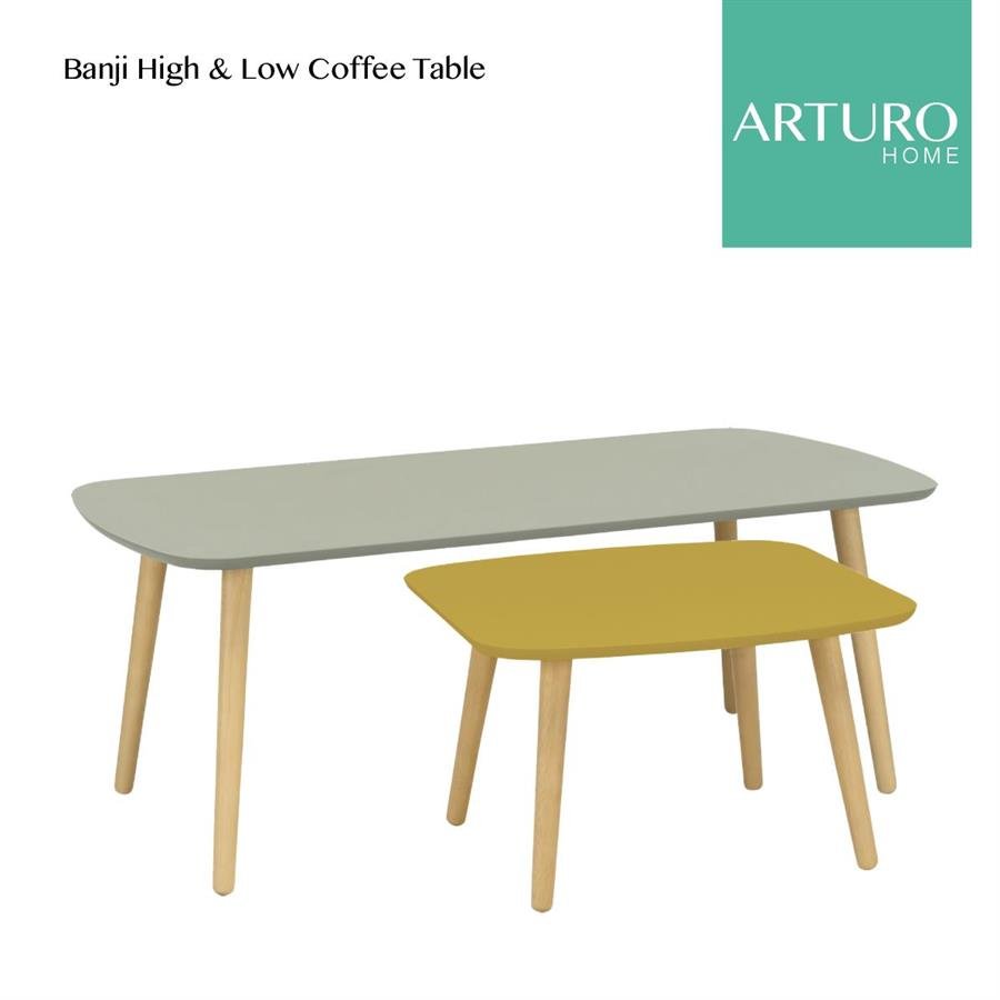Arturo Banji Low Coffee Table