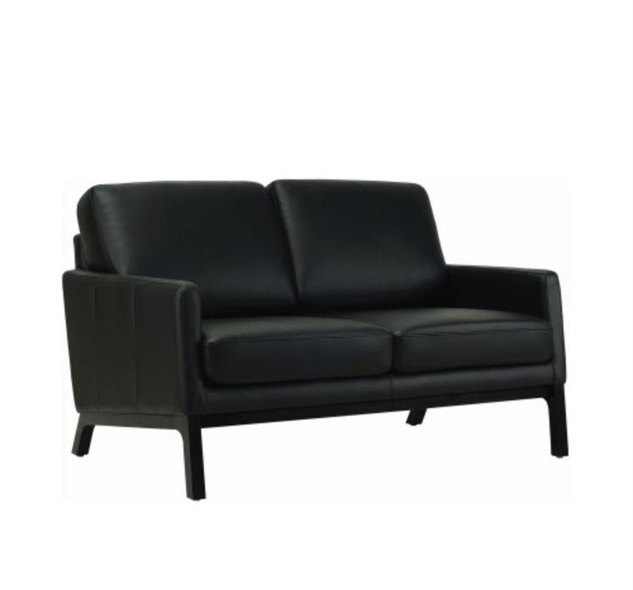 Arturo Ceres Sofa (2 seater)