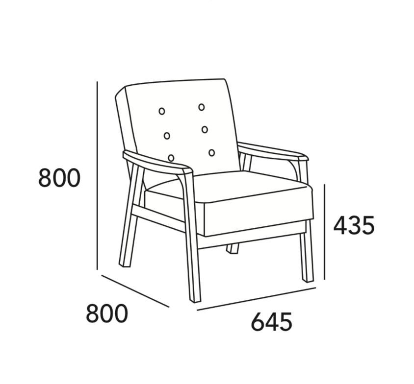 Arturo Taylor Sofa 1 seater sofa/ Arm Chair/ Black Sofa/ Solid Wood/ Synthetic Leather Sofa