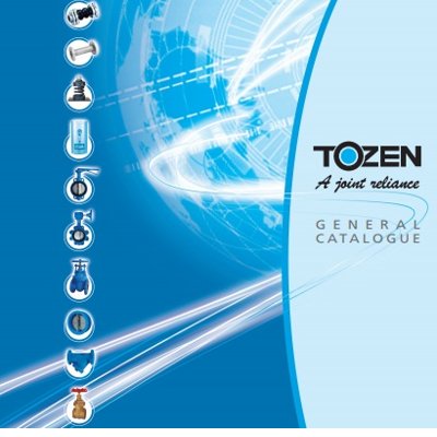Tozen Valves