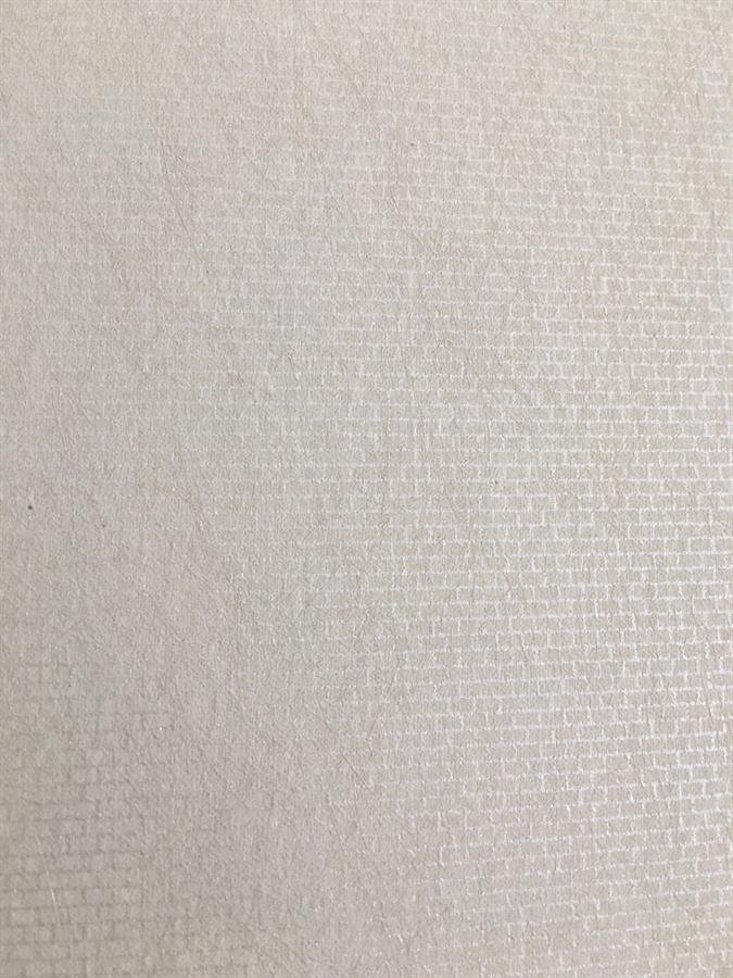 LASDA II NON-WOVEN WALLPAPER 55A301