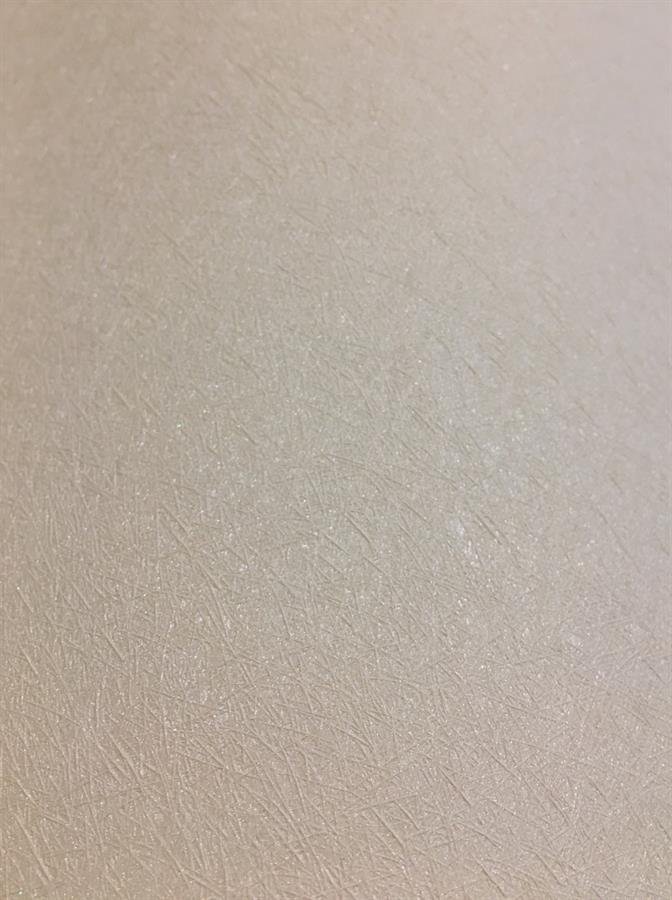 Technical High Quality Vinyl Wallcovering TL90133