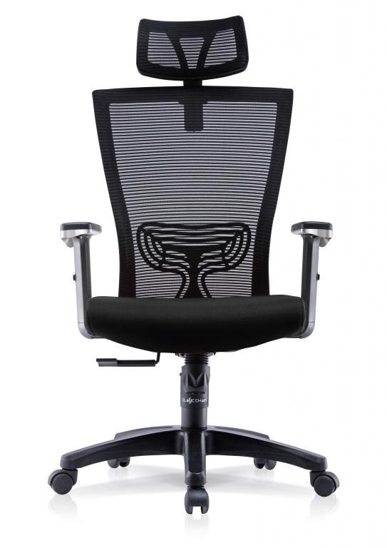 Office Chair ERGO-LITE 2  High Back (Black)
