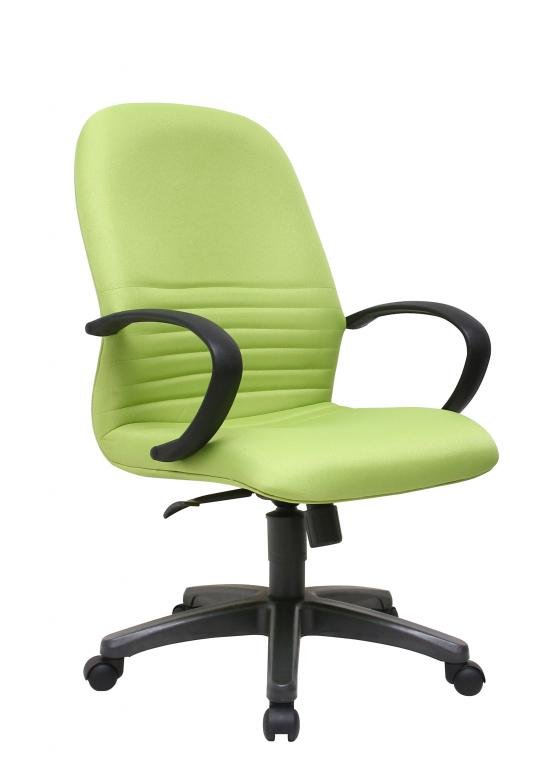 Office Chair Elegance (Apple Green)