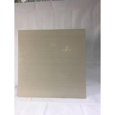 Guocera Ceramic Tiles HMP66100W (RM4.6 per pcs)