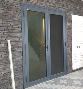 Swing Door