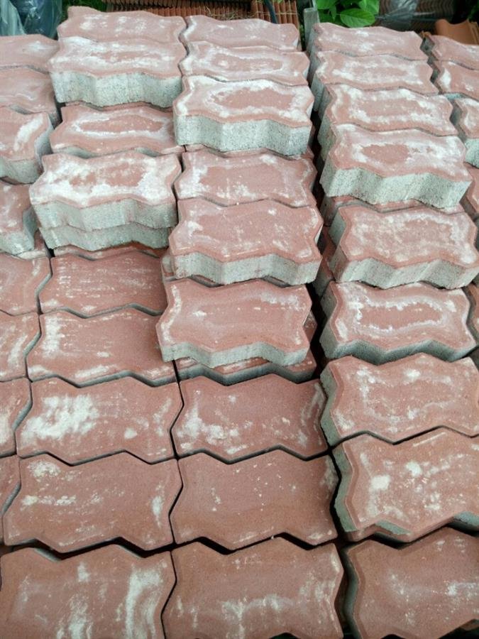 Paver Brick