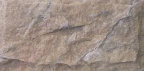 Natural Wall Stone Yellow Mushroom Series