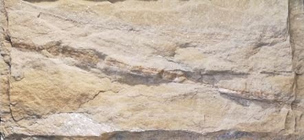 Natural Wall Stone Yellow Mushroom Series