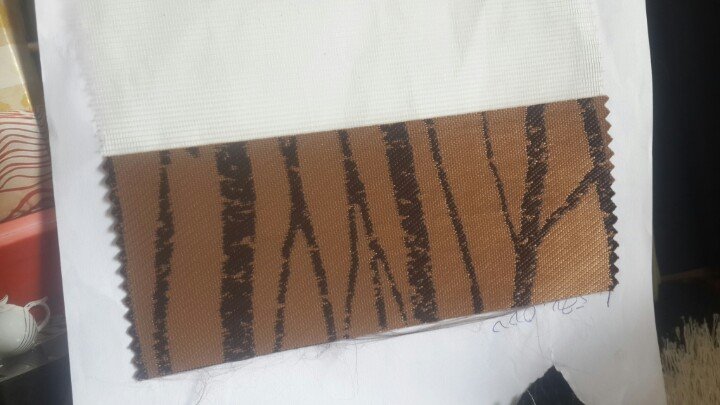 Zebra Blinds