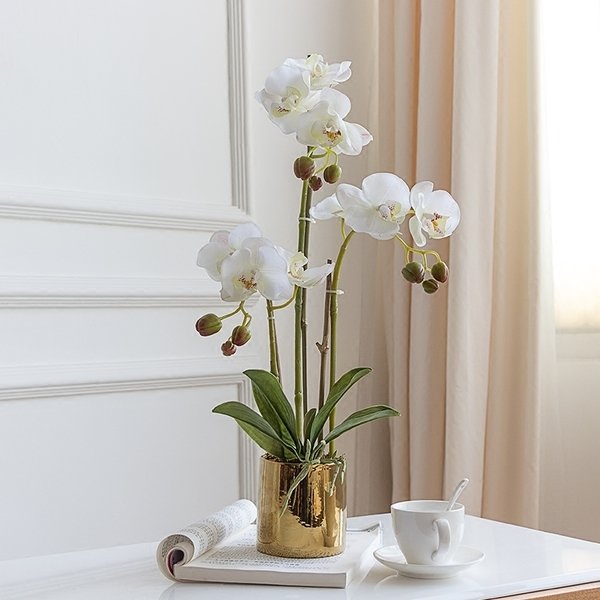 HA 004 Artificial Phalaenopsis Display Pot Set